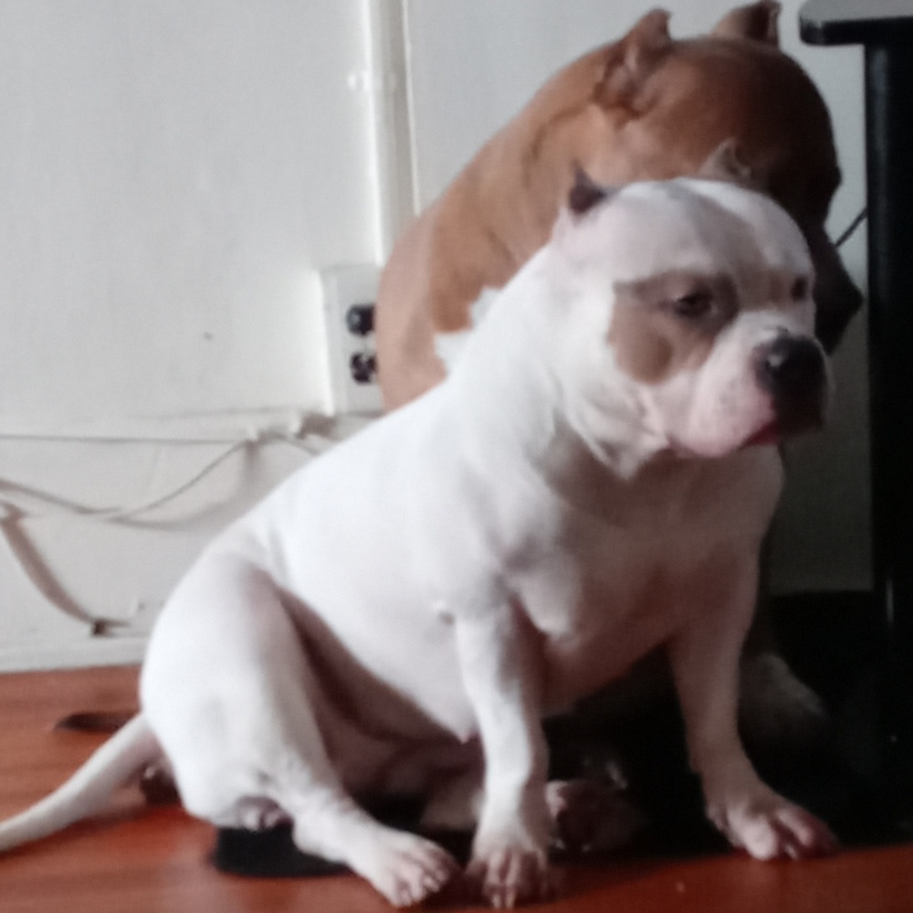 Meet your Posher, Marquita